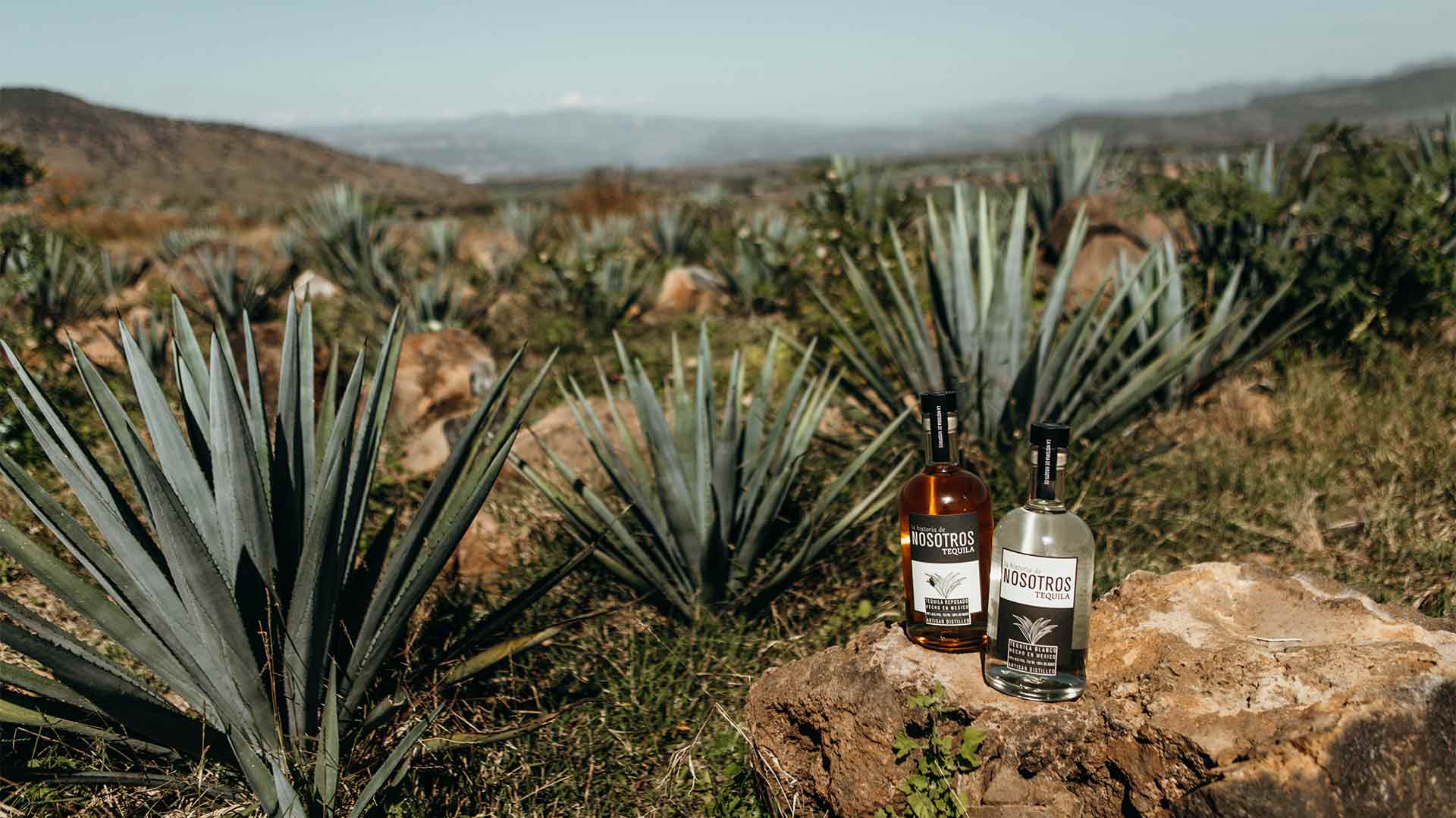 ¿Qué es el tequila?